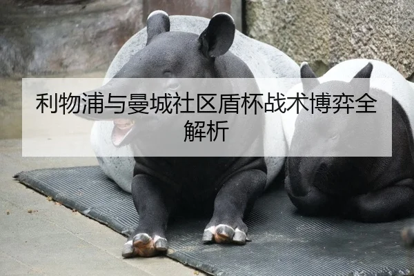 利物浦与曼城社区盾杯战术博弈全解析