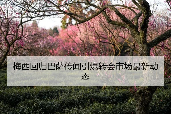 mei-xi-hui-gui-ba-sa-chuan-wen-yin-bao-zhuan-hui-shi-chang-zui-xin-dong-tai-1-356.jpg